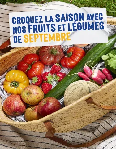 Calendrier de saisonnalité : Découvrez les pépites du mois de septembre 2026 !
