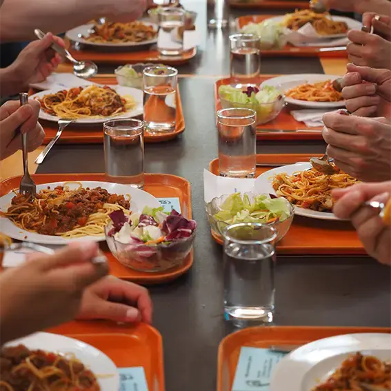 Comment mettre plus de bio en restauration collective ? Comment mettre plus de bio en restauration collective ?